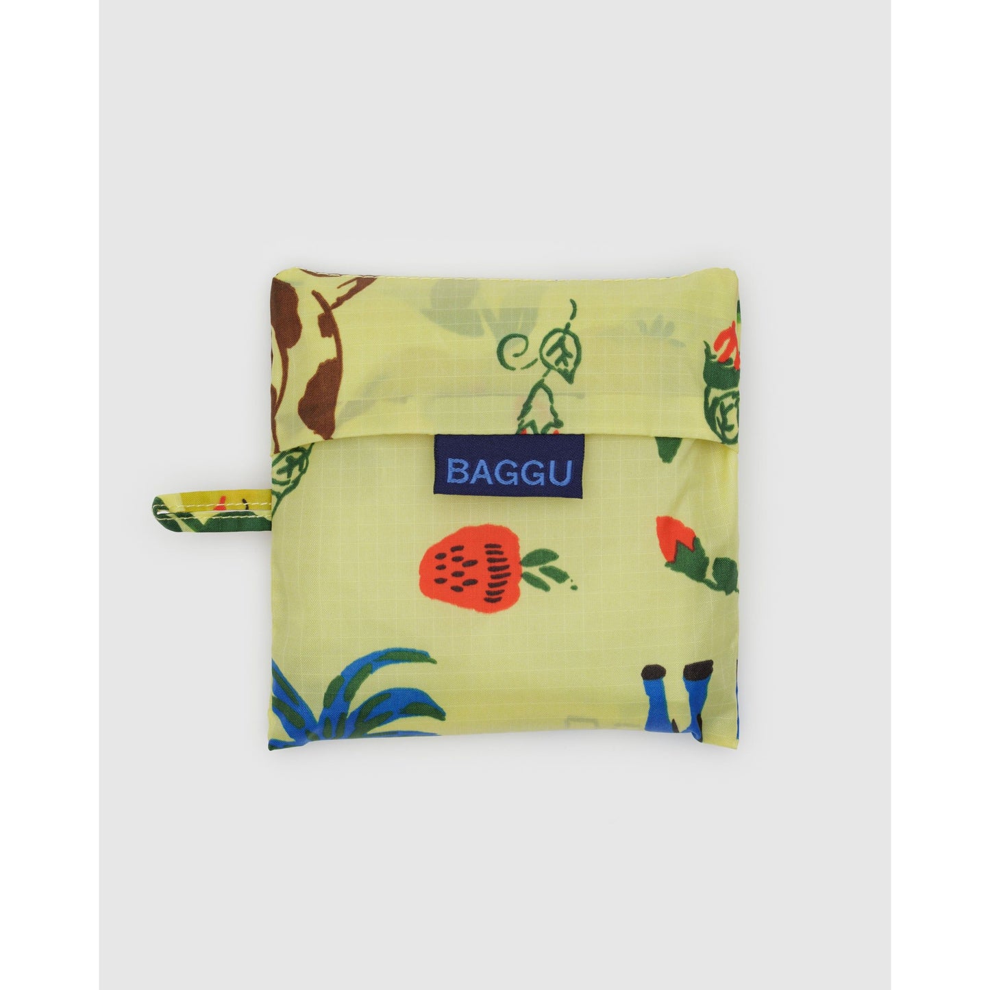 Standard Baggu - Painted Prairie