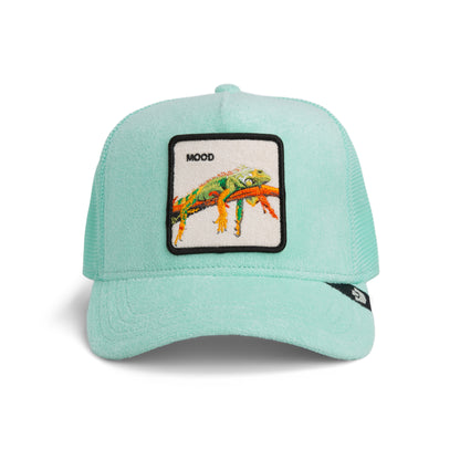 Goorin Bros | 'Terry' Trucker - Cloth Iguana