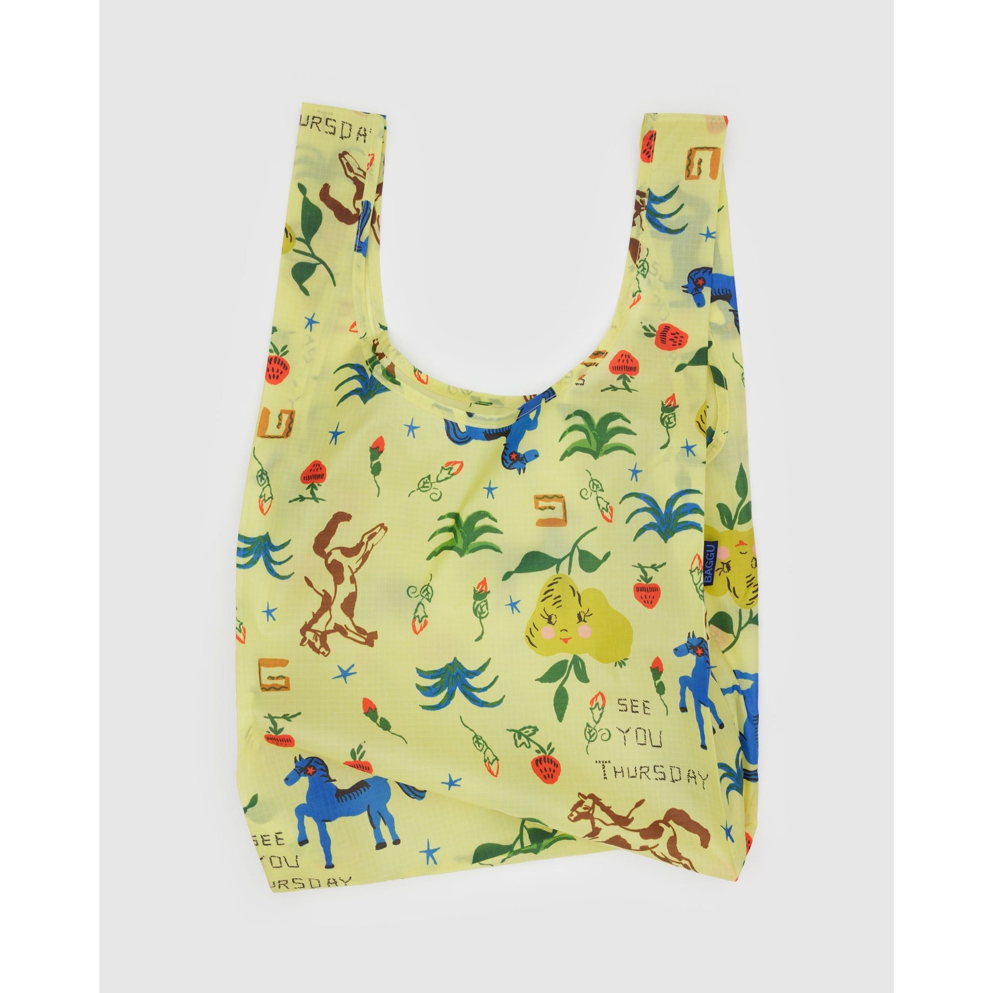 Standard Baggu - Painted Prairie - The Malo Life